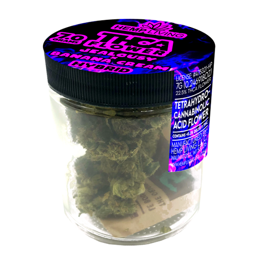 Hemp Living – THCA Flower 7g Jar – Jealousy x Banana Cream