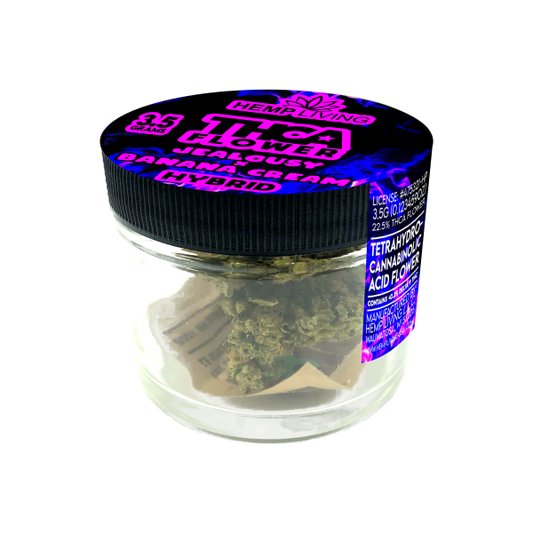 Hemp Living – THCA Flower 3.5g Jar – Jealousy X Banana Cream