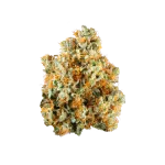 Hemp Living – THCA Flower 3.5g Jar – Hawaiian Diesel